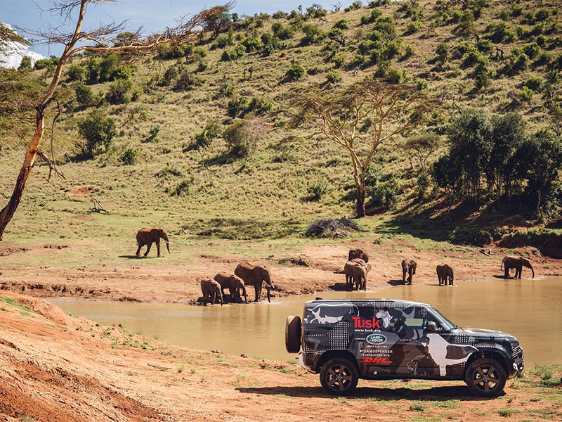 إتمام تجربة لاند روڤر ديفندر الجديدة مع "تسك" لدعم جهود الحفاظ على الأسود في كينيا